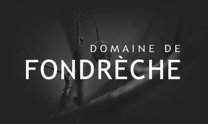 DOMAINE FONDRECHE